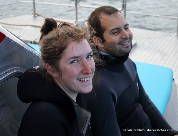 Cage Diving South Africa