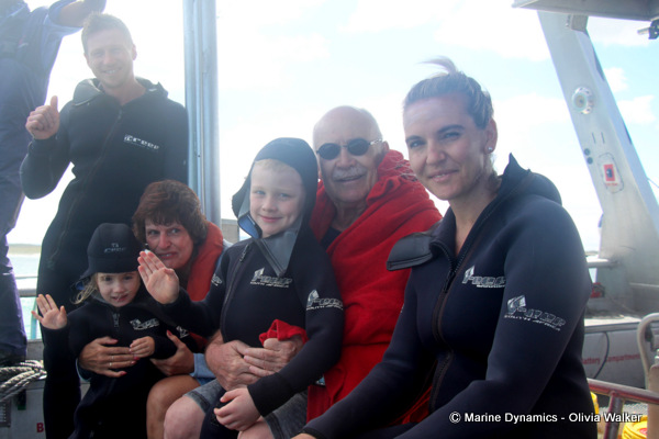 Shark Cage Diving, South Africa
