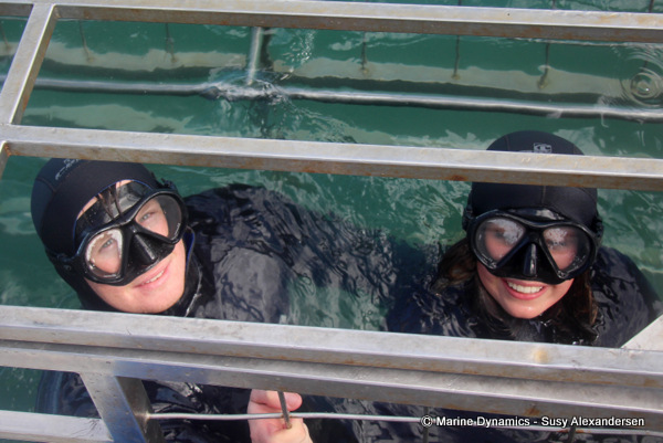 Shark Cage Diving, South Africa