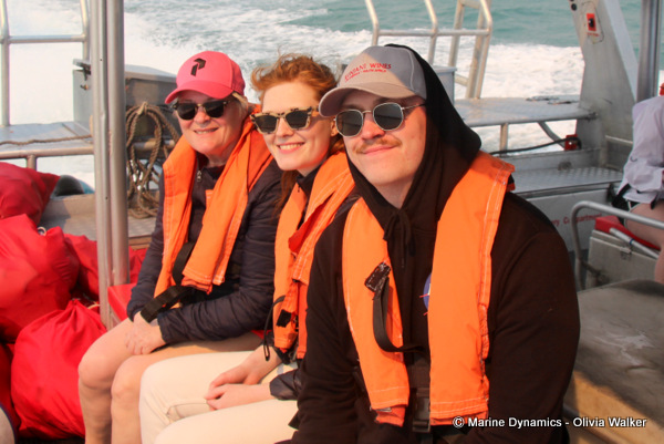 shark cage diving, South Africa