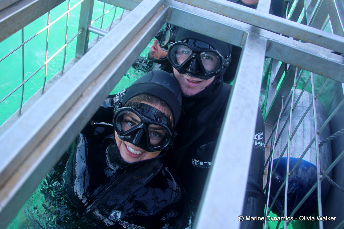 shark cage diving, South Africa