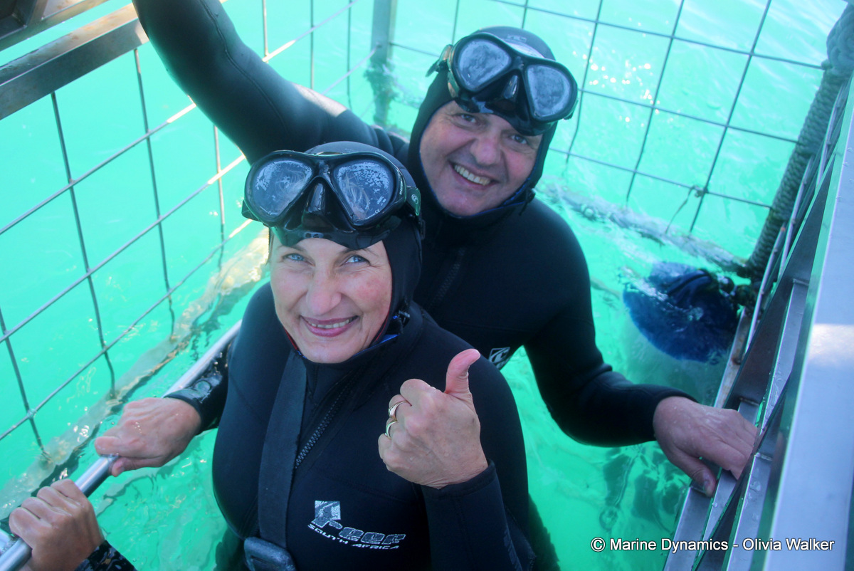 shark cage diving, South Africa
