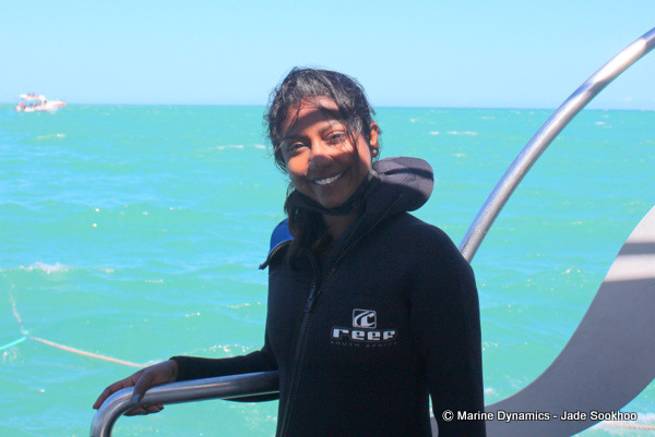 shark cage diving, South Africa