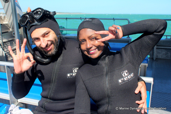 shark cage diving, South Africa