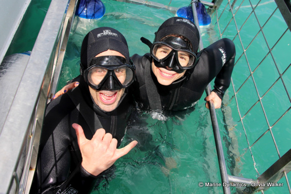 Shark Cage Diving, South Africa