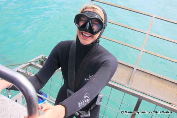 Shark Cage Diving, South Africa
