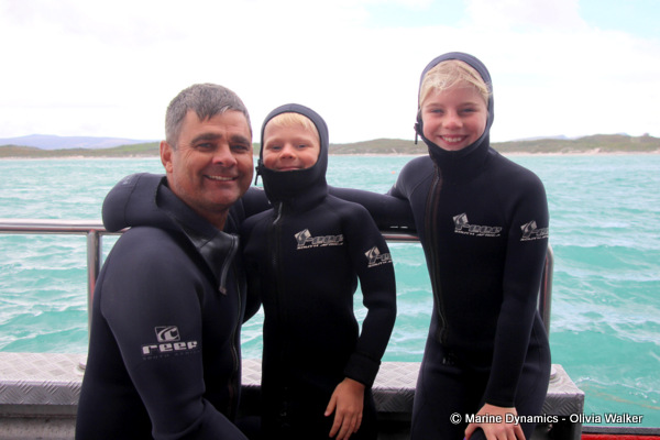 shark cage diving, South Africa