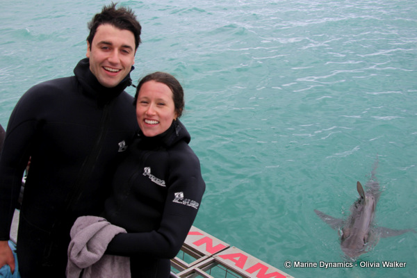 shark cage diving, South Africa