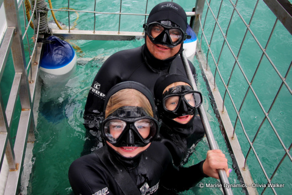 shark cage diving, South Africa