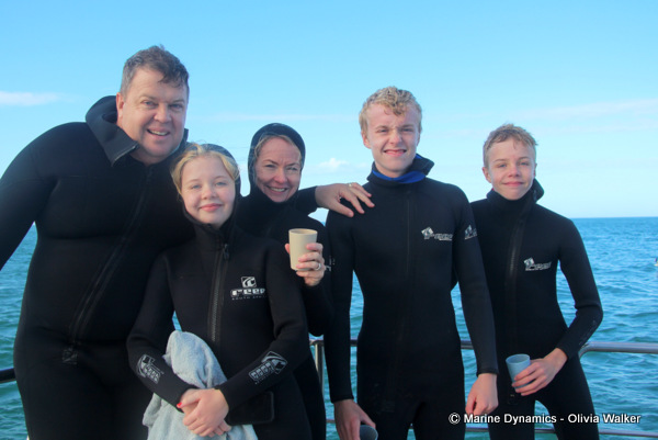 shark cage diving, South Africa
