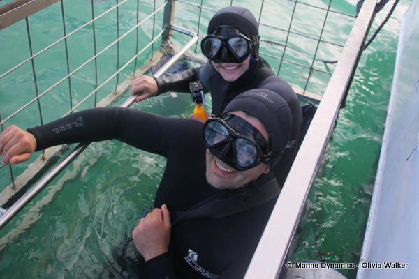 shark cage diving, South Africa