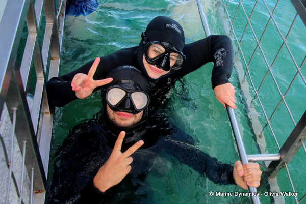shark cage diving, South Africa
