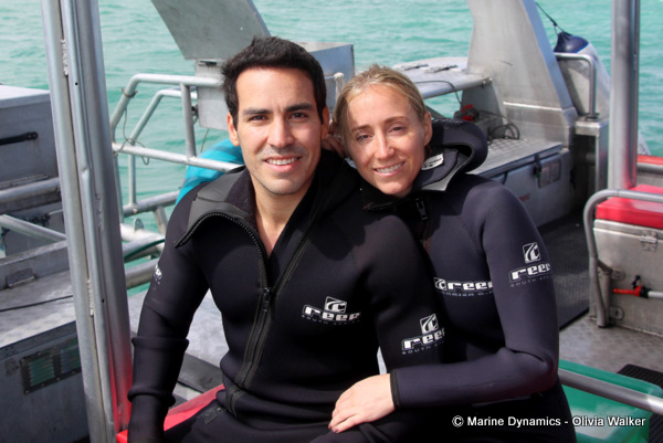 Shark Cage Diving, South Africa