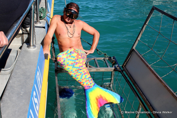 Shark Cage Diving, South Africa