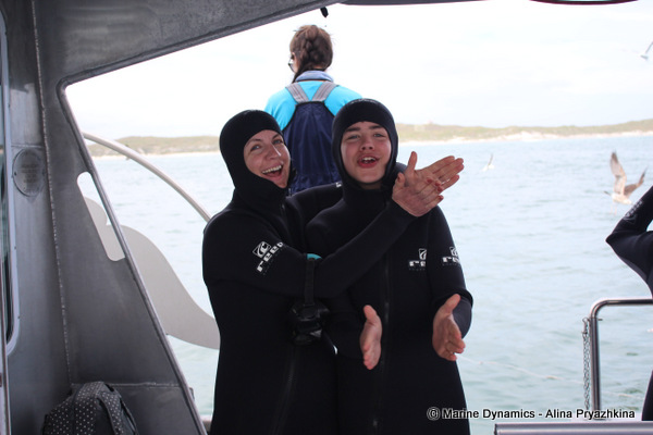 Shark cage diving GAnsbaai