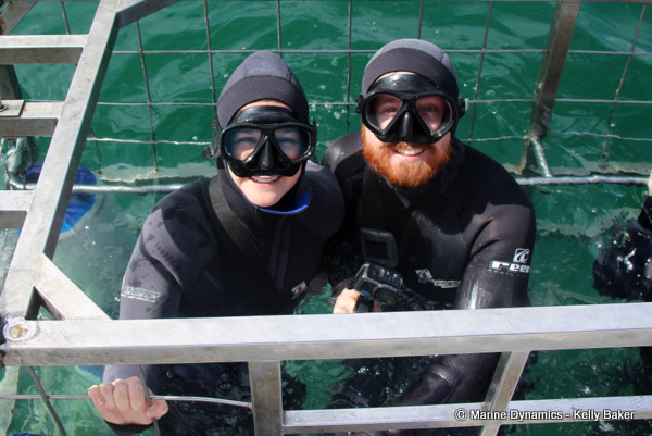 Shark cage diving Gansbaai South Africa
