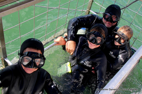 Shark Cage Diving, South Africa