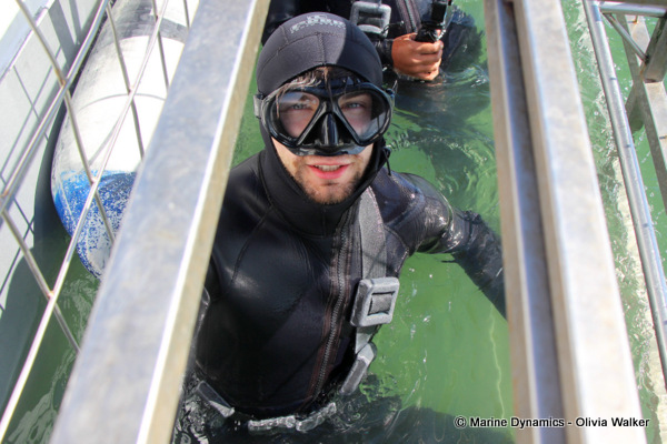 Shark Cage Diving, South Africa