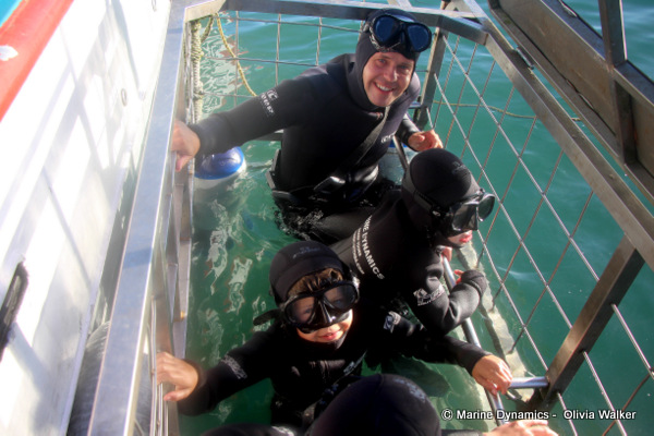 Shark Cage Diving, South Africa