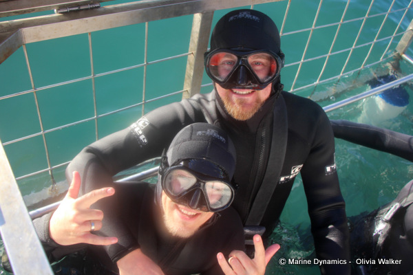 Shark Cage Diving, South Africa