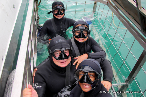 shark cage diving, South Africa