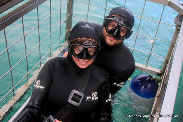 shark cage diving, South Africa