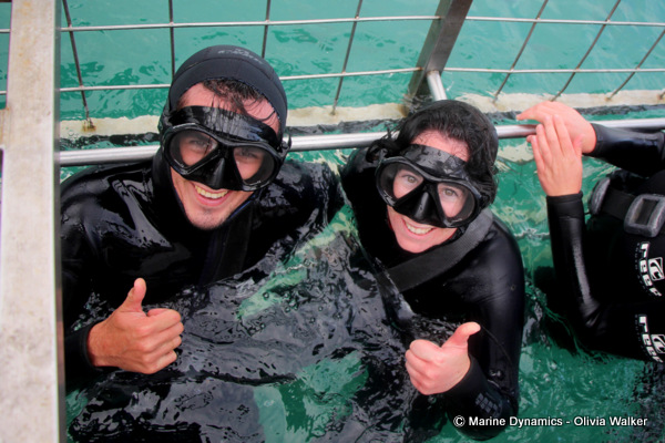 shark cage diving, South Africa