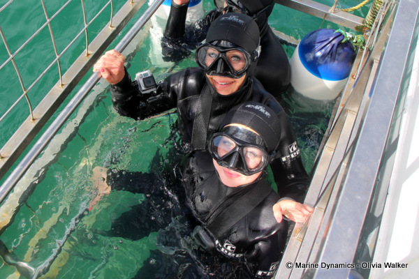Shark Cage Diving, South Africa