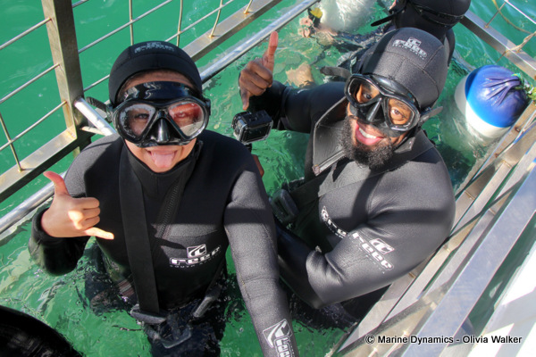 Shark Cage Diving, South Africa