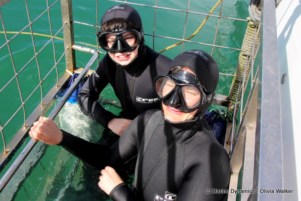 Shark Cage Diving, South Africa