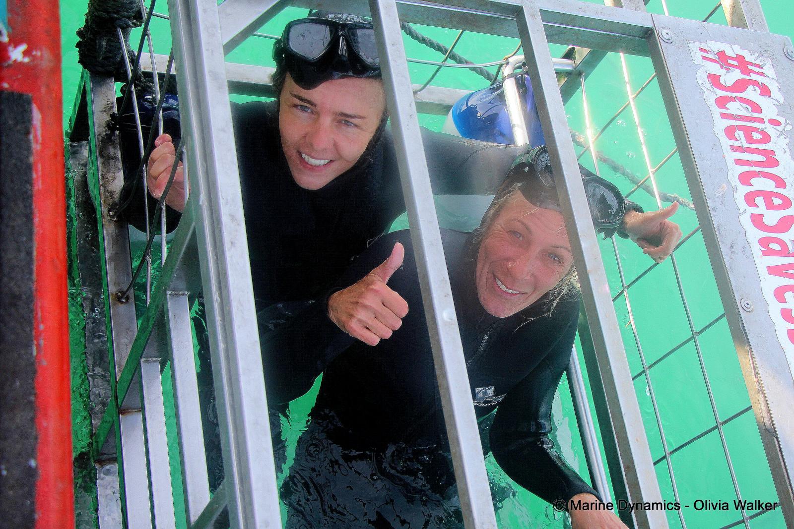 shark cage diving, South Africa