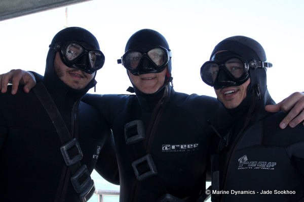 Shark cage diving, South Africa