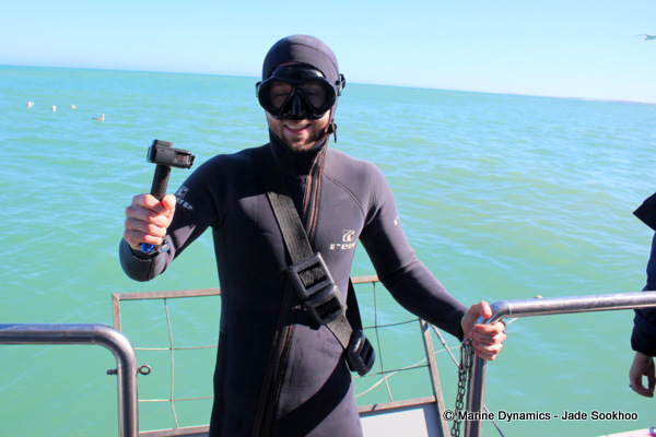 Shark cage diving, South Africa