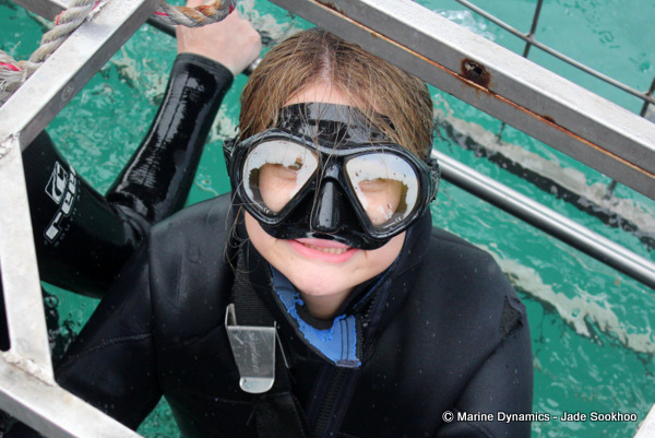 Shark Cage diving, South Africa