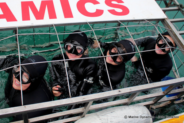 Shark Cage diving, South Africa