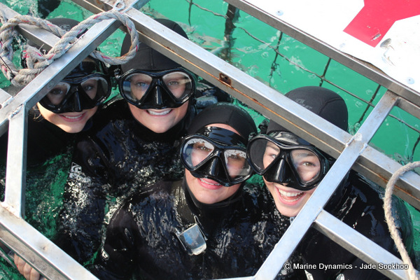 Shark Cage diving, South Africa