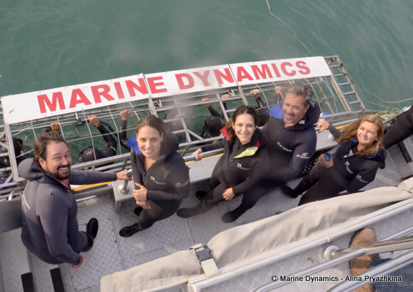 Shark cage diving, South africa