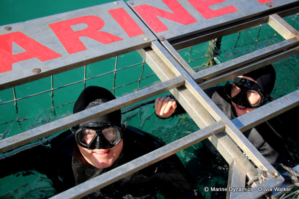 Shark Cage Diving, South Africa