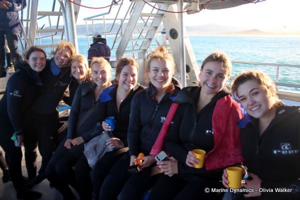Shark Cage Diving, South Africa