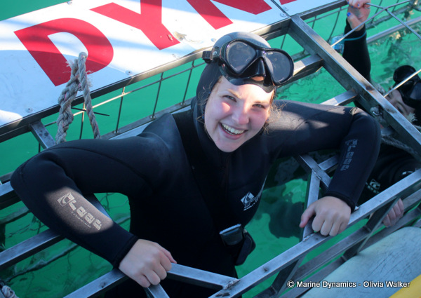 Shark Cage Diving, South Africa