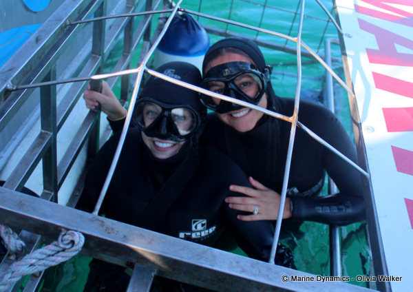 Shark Cage Diving, South Africa