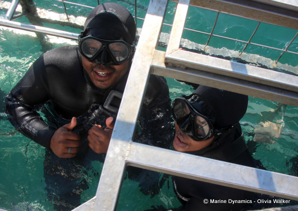 Shark Cage Diving, South Africa