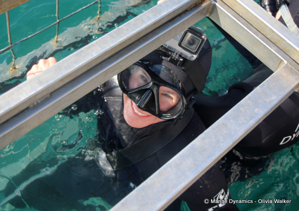 Shark Cage Diving, South Africa
