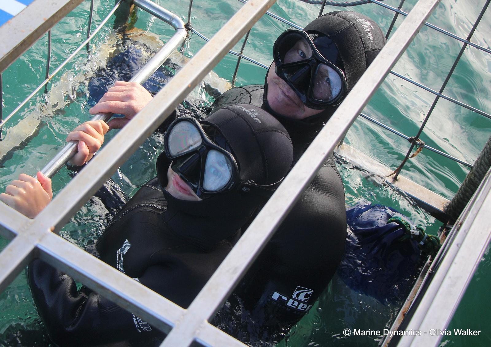 Shark Cage Diving, South Africa