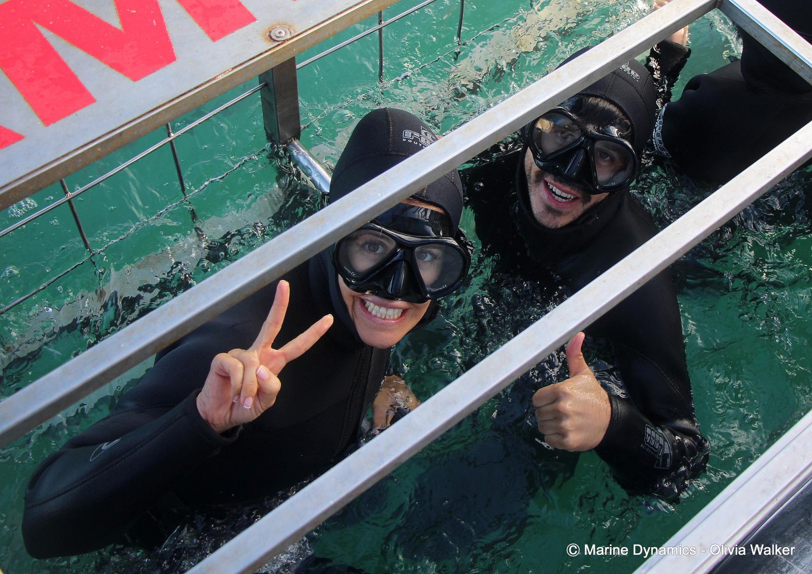 Shark Cage Diving, South Africa