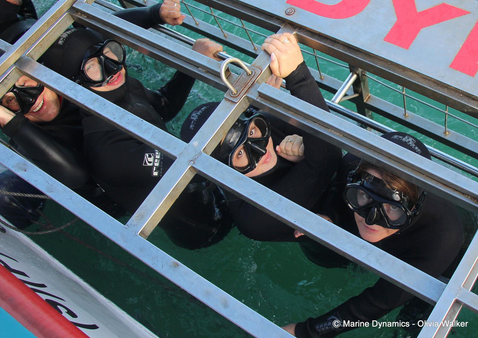Shark Cage Diving, South Africa