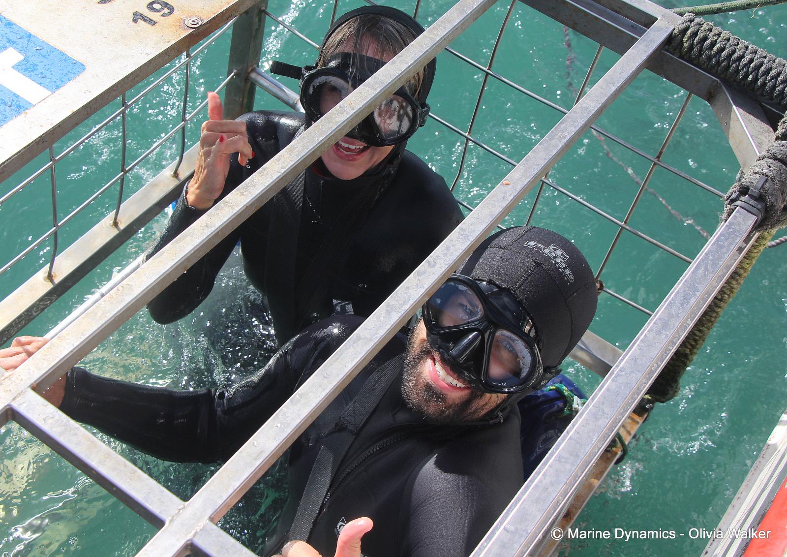 Shark Cage Diving, South Africa