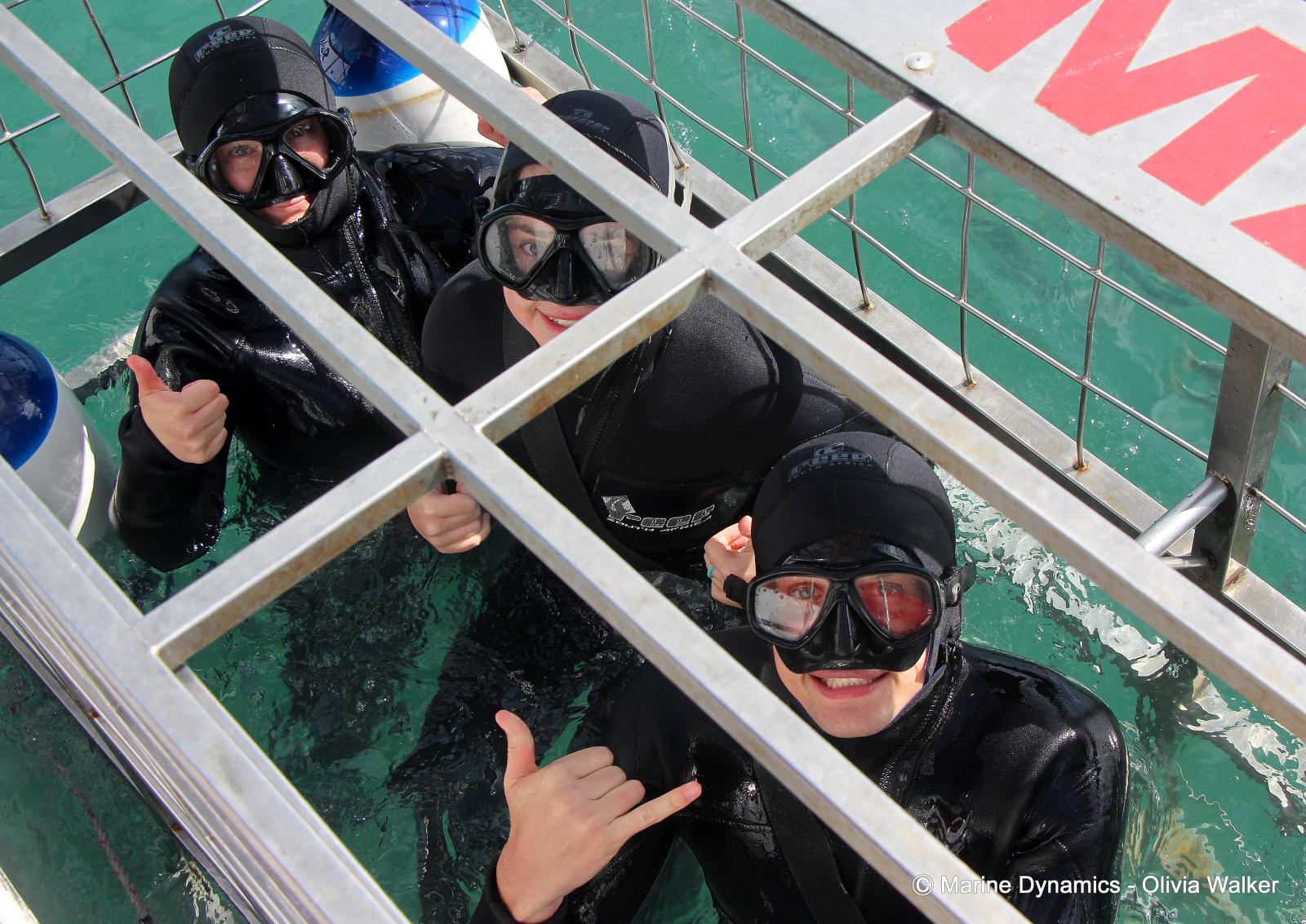 Shark Cage Diving, South Africa