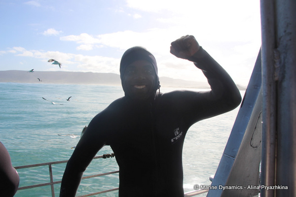 Shark Cage Diving, South Africa