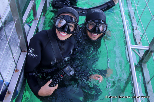 Shark Cage Diving, South Africa